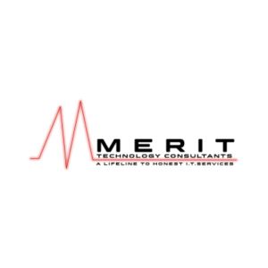 Consultants Merit Technology Consultants